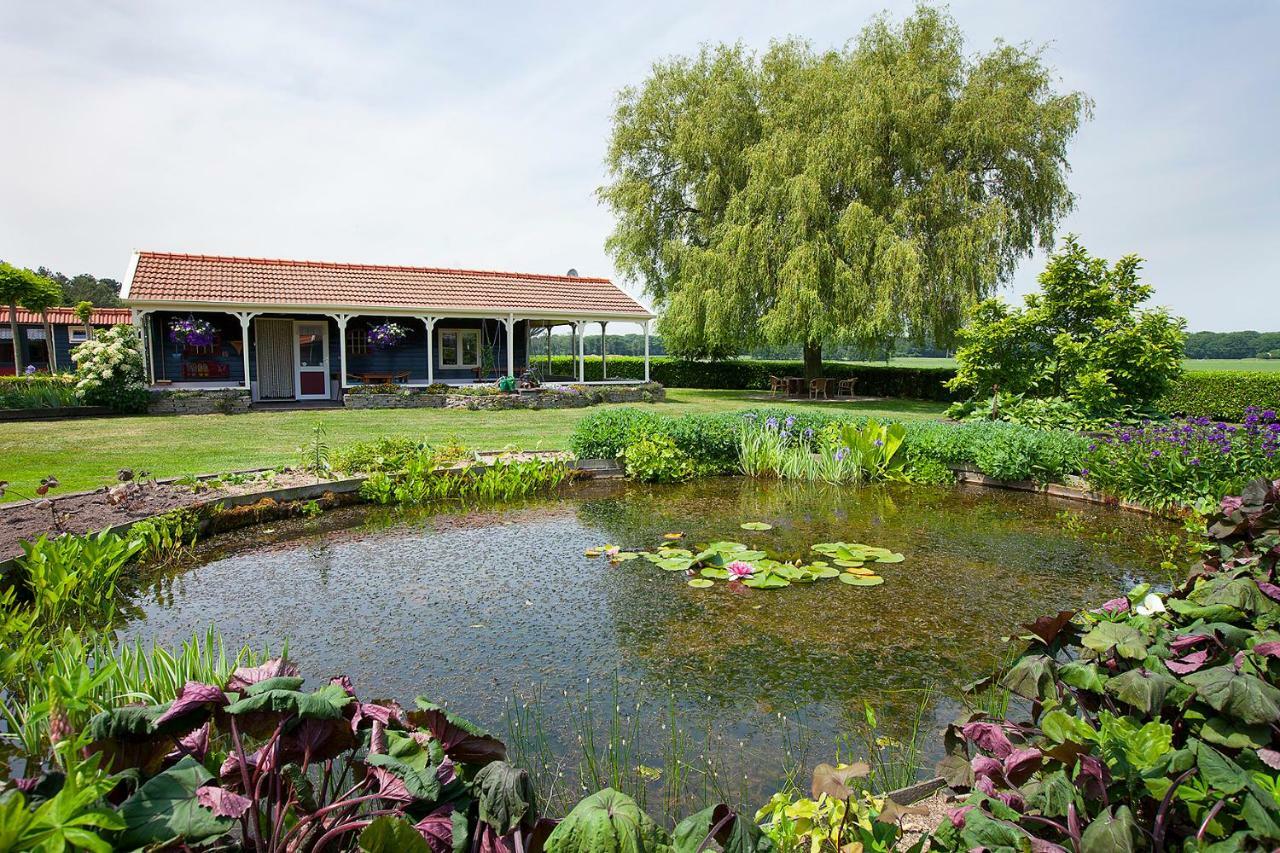 Inge'S Cottage Bergen op Zoom Zewnętrze zdjęcie